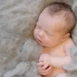 Wat kost een fotoshoot